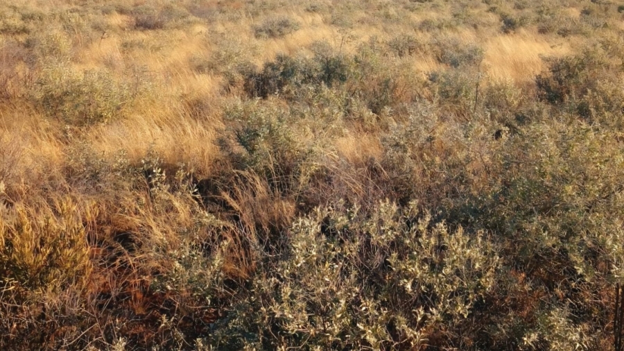 Commercial Property for Sale in Barkly West Northern Cape